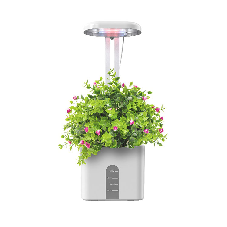 LED Grow Light